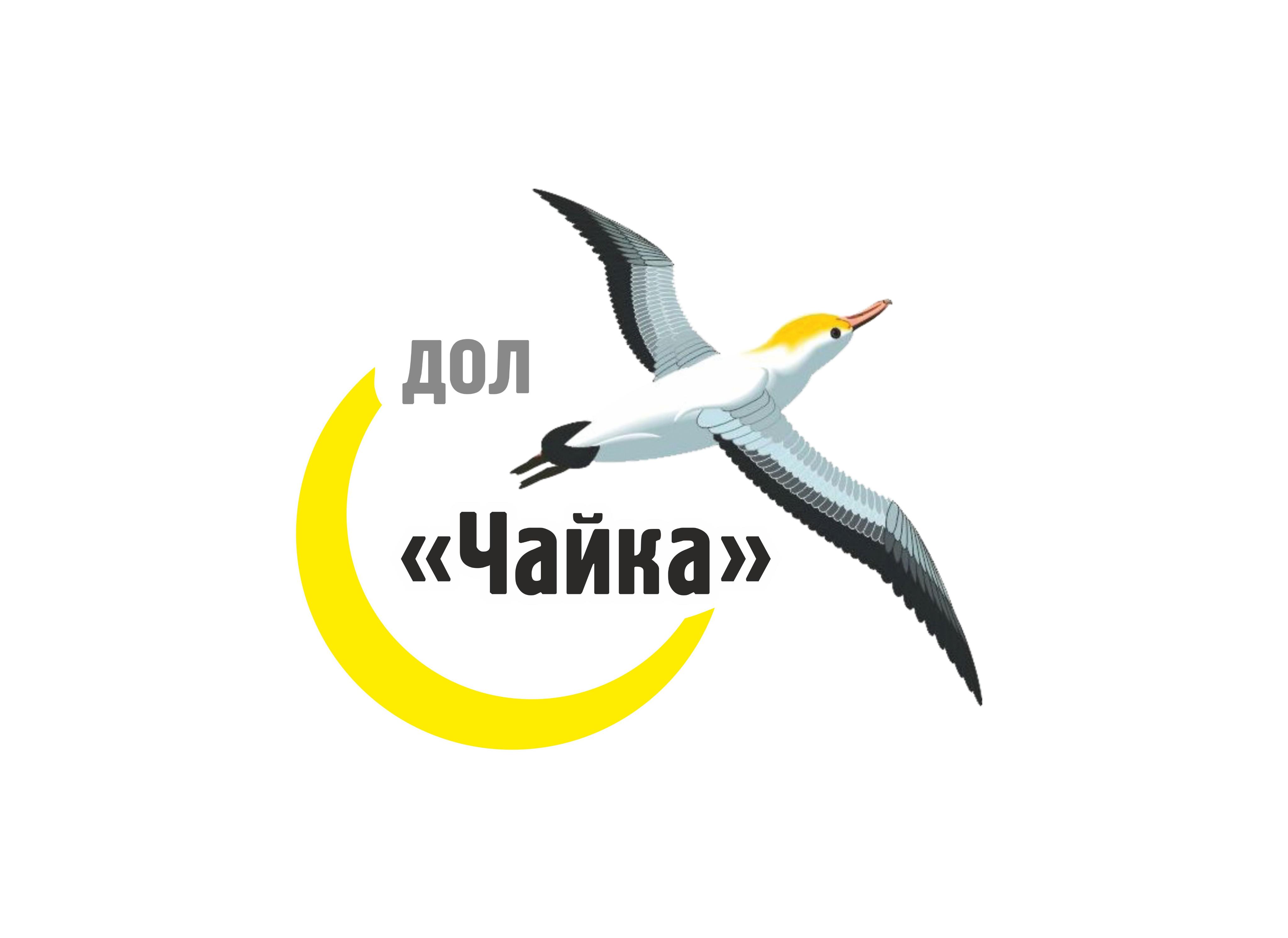 ДОЛ «Чайка»
